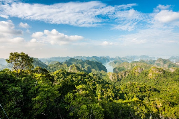 02D/01N: Lan Ha bay - Halong Bay