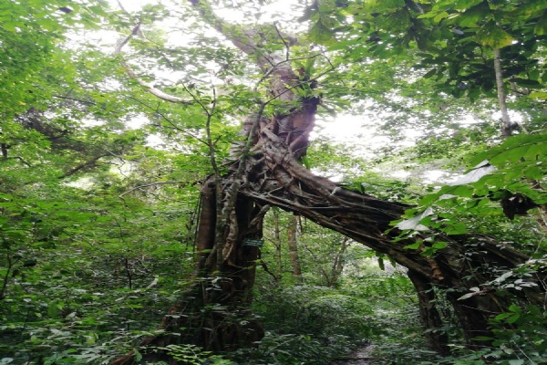 Trekking in Catba Natural Park